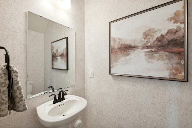 22668 Isla Way, Rogers, MN 55374 - half bath with a sink and wallpapered walls