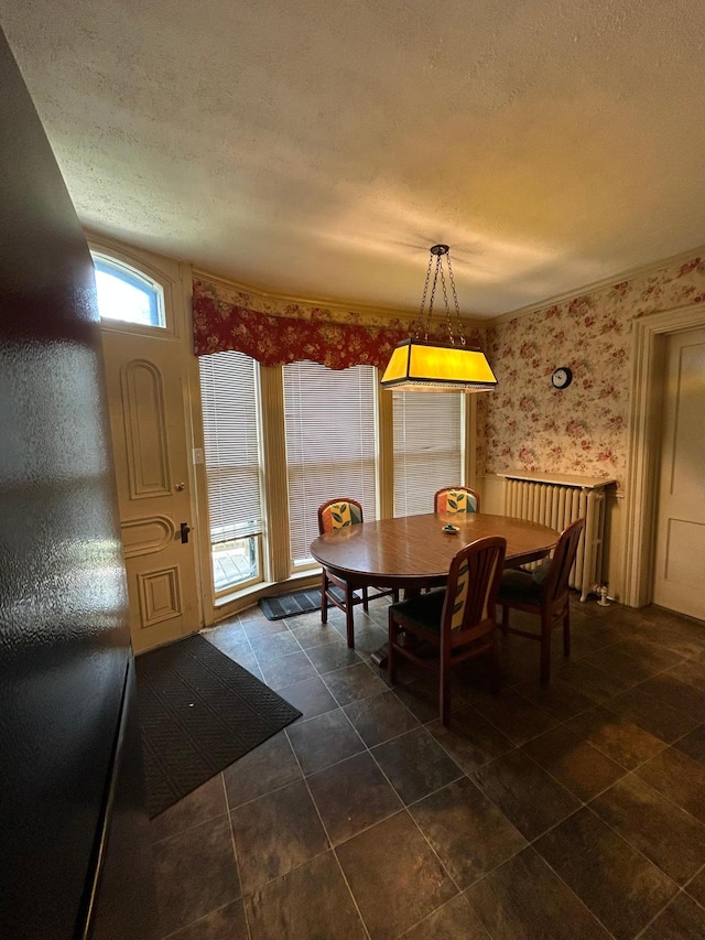 415 7th Ave E, Alexandria, MN 56308 - photo 7