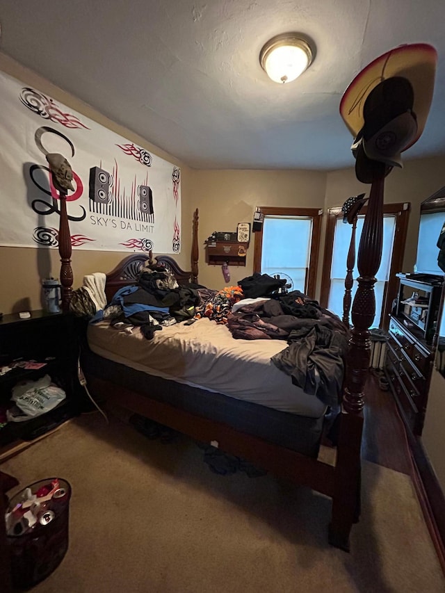 415 7th Ave E, Alexandria, MN 56308 - photo 25
