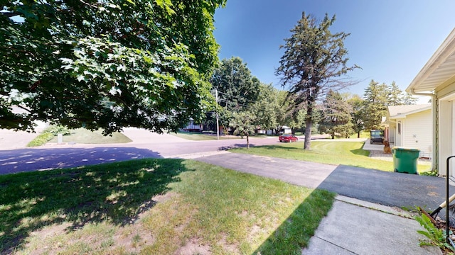 417 Euclid St, Alden, MN 56009 - photo 37
