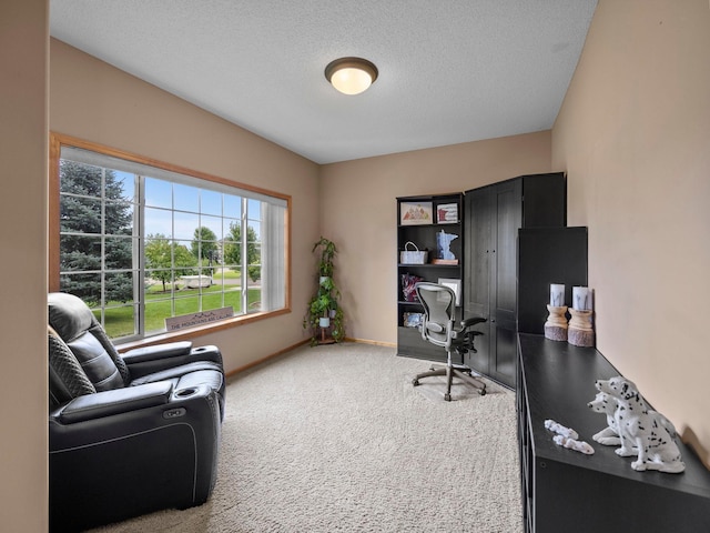 1161 3rd St SW, Delano, MN 55328 - photo 4