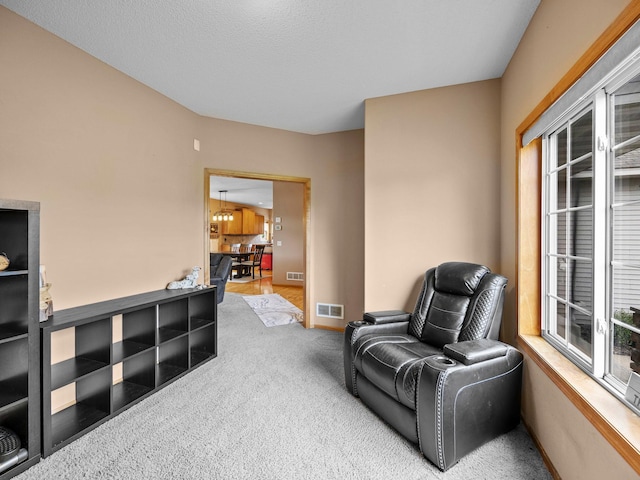 1161 3rd St SW, Delano, MN 55328 - photo 5