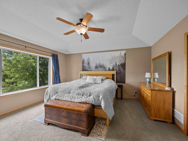 1161 3rd St SW, Delano, MN 55328 - photo 14