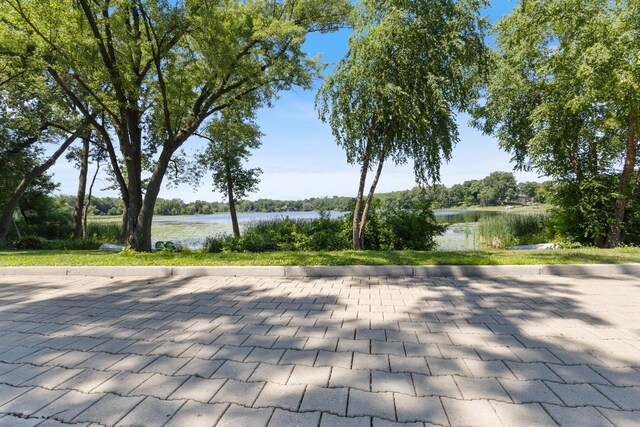 251 Cottage Pl, Shoreview, MN 55126 - photo 31