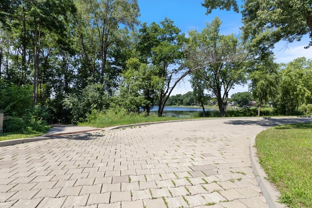 251 Cottage Pl, Shoreview, MN 55126 - photo 32