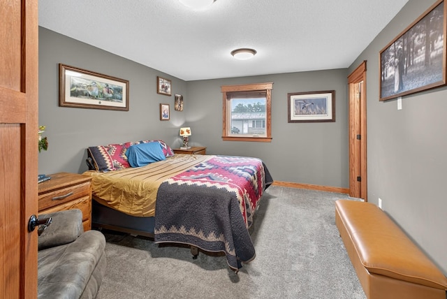 318 10th St E, Wabasha, MN 55981 - photo 11