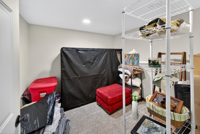 318 10th St E, Wabasha, MN 55981 - photo 24
