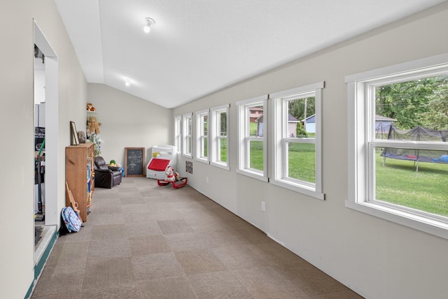 318 10th St E, Wabasha, MN 55981 - photo 25