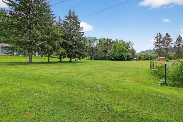 318 10th St E, Wabasha, MN 55981 - photo 34