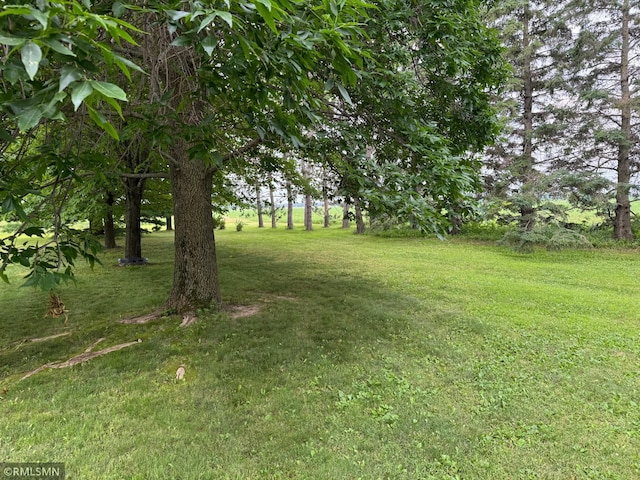 2521 195th Ave, Mora, MN 55051 - photo 12