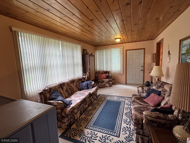 2521 195th Ave, Mora, MN 55051 - photo 17