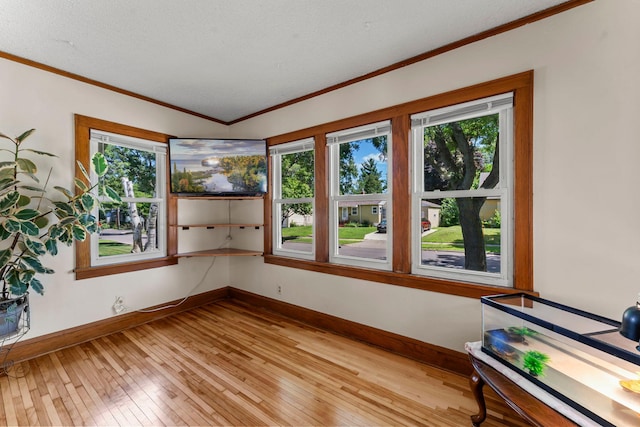 637 Hazel St N, Saint Paul, MN 55119 - photo 4