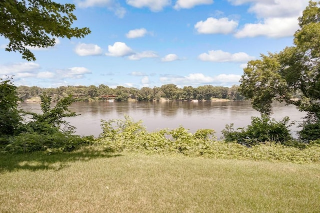 251 Revere Ln N, Champlin, MN 55316 - water view