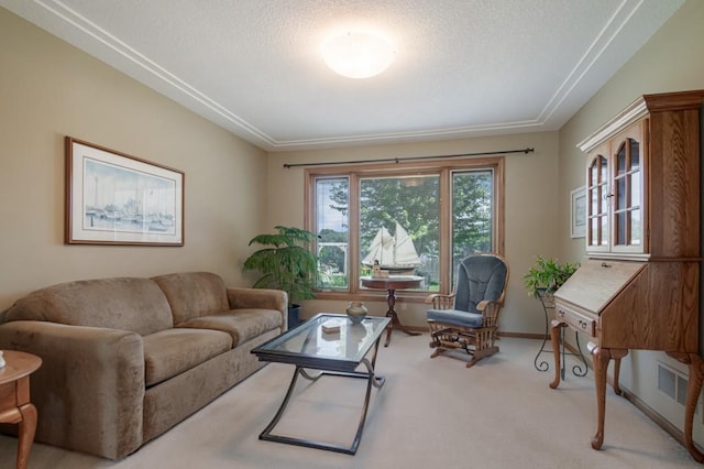 251 Revere Ln N, Champlin, MN 55316 - living area with carpet flooring and a textured ceiling
