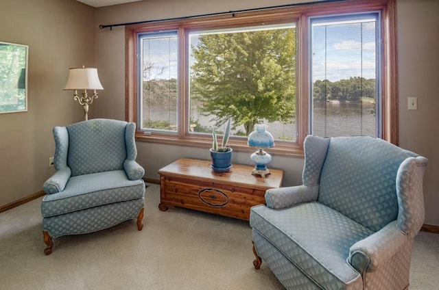 251 Revere Ln N, Champlin, MN 55316 - living area with carpet flooring and healthy amount of natural light