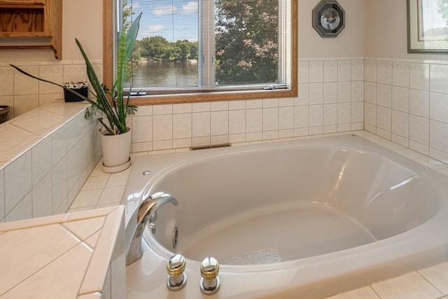 251 Revere Ln N, Champlin, MN 55316 - bathroom with a bath