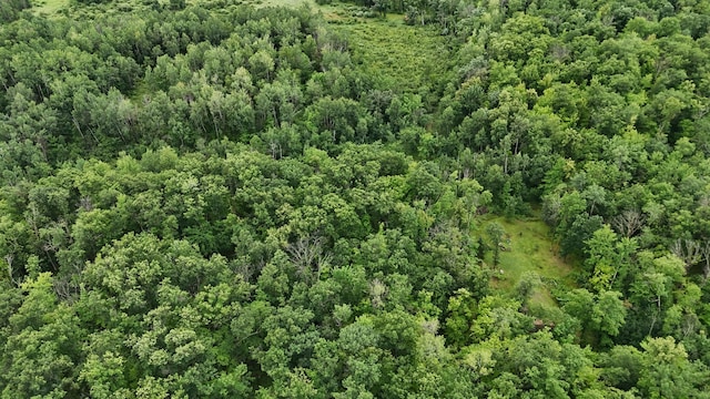 1853 295th Ave, Hillman Twp, MN 55051 - photo 3