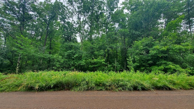 1853 295th Ave, Hillman Twp, MN 55051 - photo 4