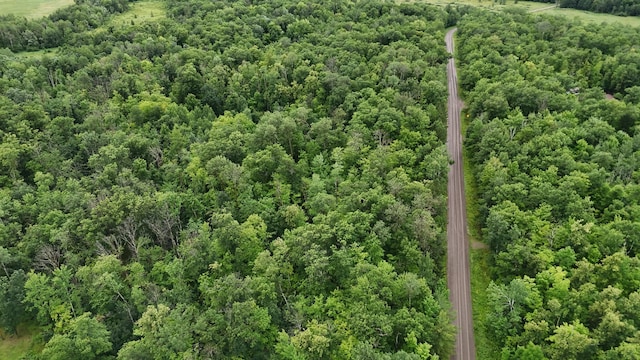 1853 295th Ave, Hillman Twp, MN 55051 - photo 5