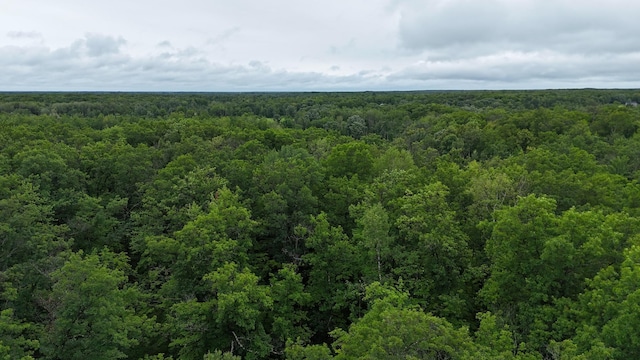 1853 295th Ave, Hillman Twp, MN 55051 - photo 7