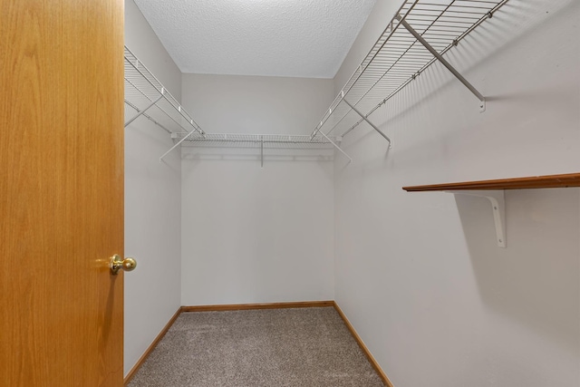 204 Appaloosa Ct, Braham, MN 55006 - photo 18