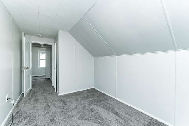 213 11th St SE, Rochester, MN 55904 - additional living space with carpet and baseboards