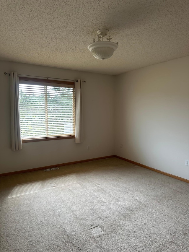 14419 Hummingbird St NW, Andover, MN 55304 - photo 12
