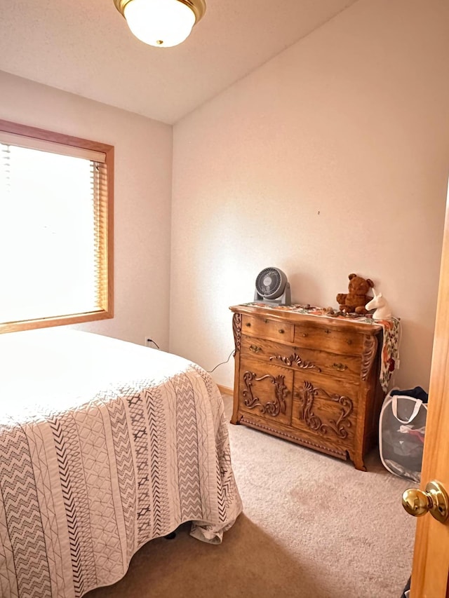 14419 Hummingbird St NW, Andover, MN 55304 - photo 20
