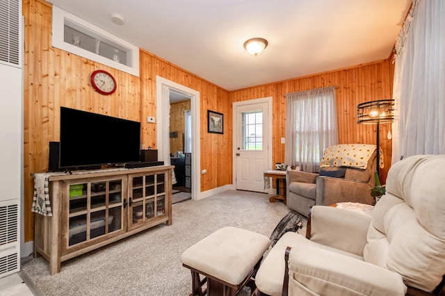 600 1st Ave, Osakis, MN 56360 - living area with wood walls, carpet, and a heating unit