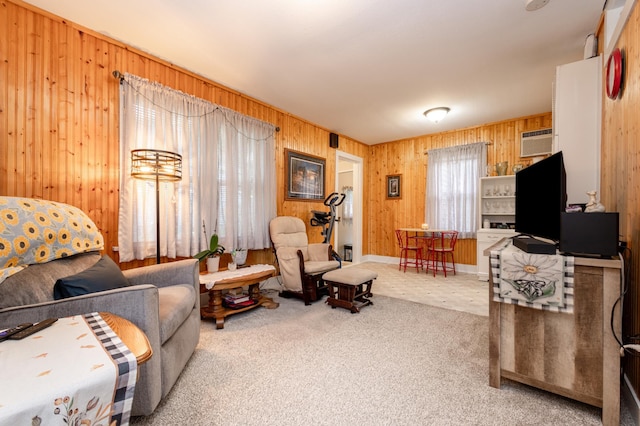 600 1st Ave, Osakis, MN 56360 - carpeted living area with wooden walls and a wall unit AC