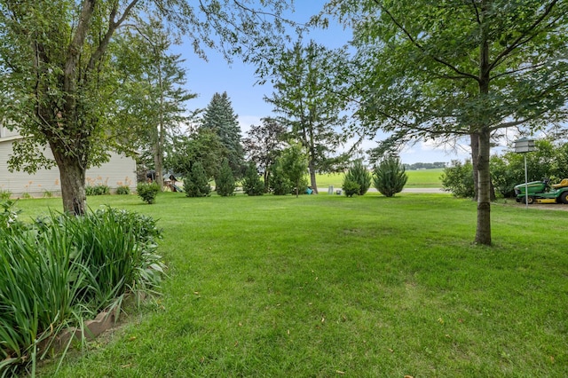 310 9th St NW, Plainview, MN 55964 - photo 20