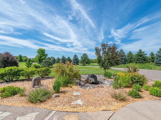 11460 Eagle Creek Ln, Rogers, MN 55374 - photo 7
