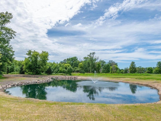 11460 Eagle Creek Ln, Rogers, MN 55374 - photo 54