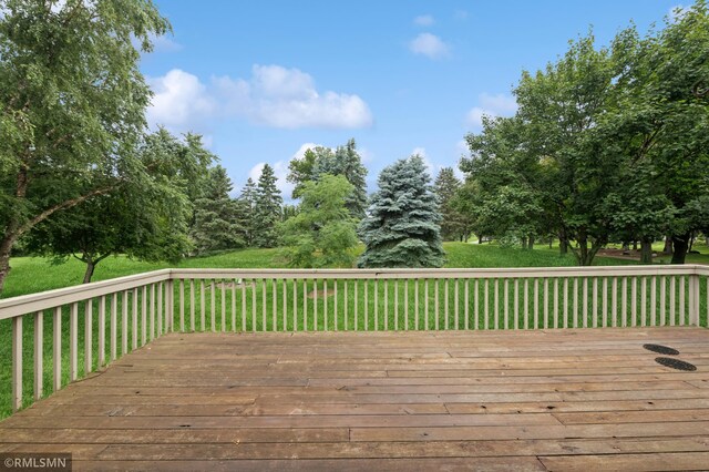 936 Winterberry Dr, Woodbury, MN 55125 - photo 34