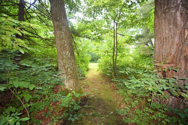 5480 County Road A, Webster, WI 54893 - photo 14
