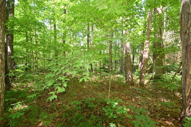 5480 County Road A, Webster, WI 54893 - photo 23