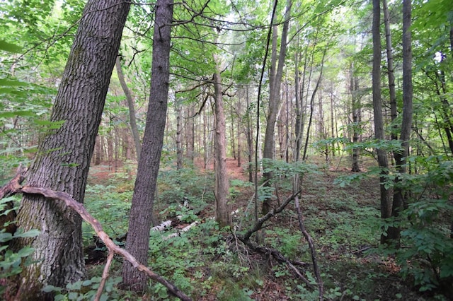 5480 County Road A, Webster, WI 54893 - photo 24
