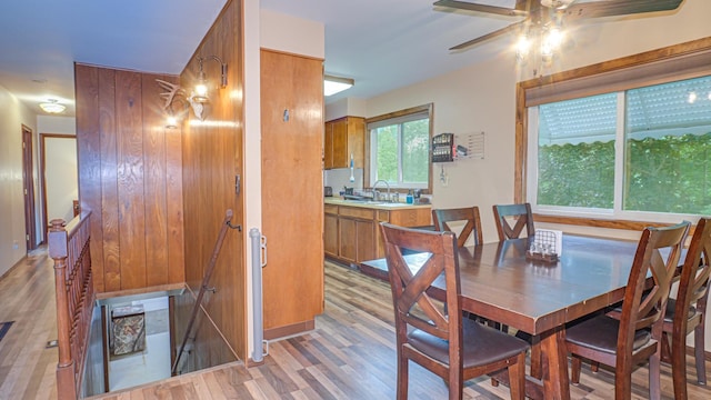 18149 US Highway 169, Harris Twp, MN 55744 - photo 9