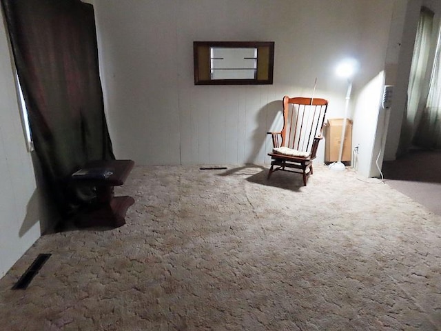 315 Conley Ave S, Thief River Falls, MN 56701 - photo 3