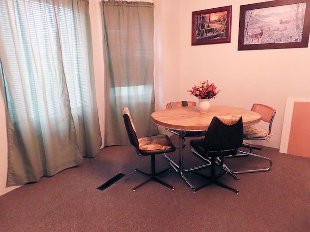 315 Conley Ave S, Thief River Falls, MN 56701 - photo 8