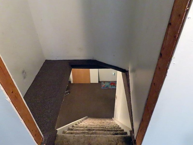 315 Conley Ave S, Thief River Falls, MN 56701 - photo 15