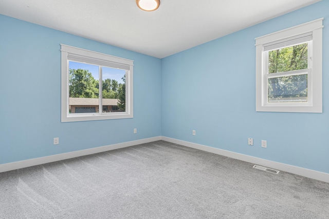 16951 88th Ave N, Maple Grove, MN 55311 - spare room featuring carpet flooring