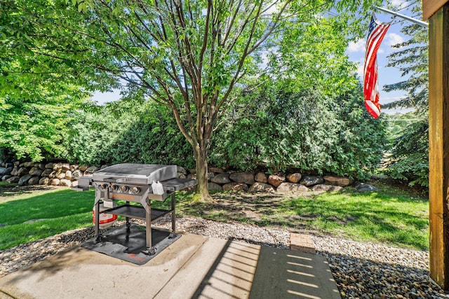 5036 Bluff Heights Trl SE, Prior Lake, MN 55372 - photo 32