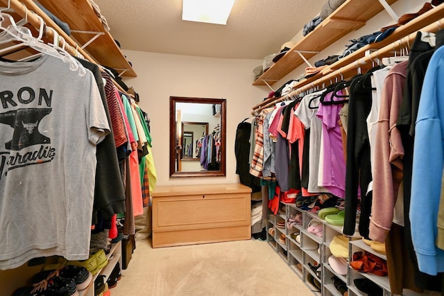 8830 8th St, Winona, MN 55987 - photo 27