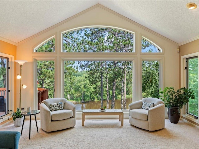 614 Buffalo Hills Ln W, Brainerd, MN 56401 - photo 8
