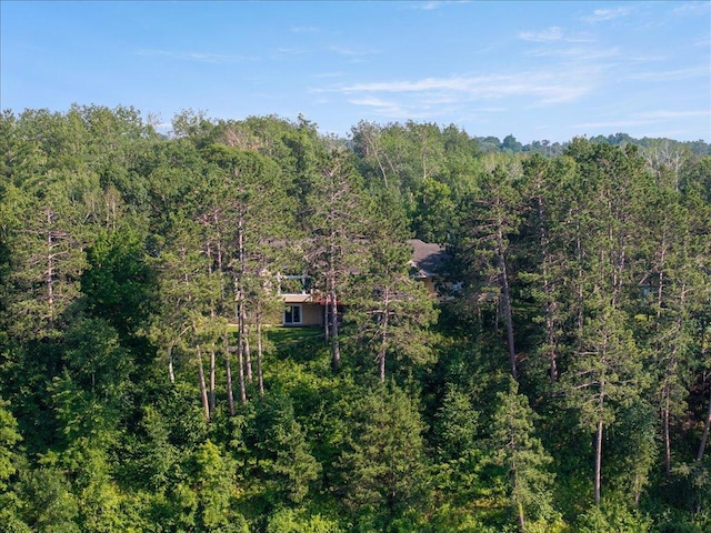 614 Buffalo Hills Ln W, Brainerd, MN 56401 - photo 60
