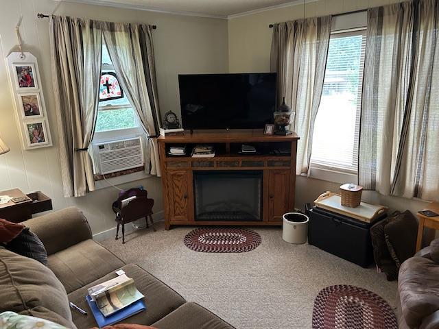 1387 County Road 7 NE, Longville, MN 56655 - photo 7