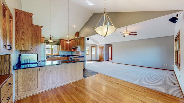 3195 115th St NW, Oronoco, MN 55960 - photo 10