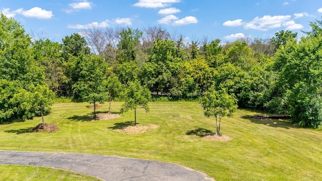 23865 County Rd, Loretto, MN 55357 - view of grassy yard