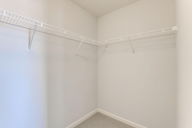 609 Parkview Ct, Anoka, MN 55303 - photo 31